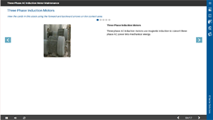 Three-Phase Induction Motor Solution